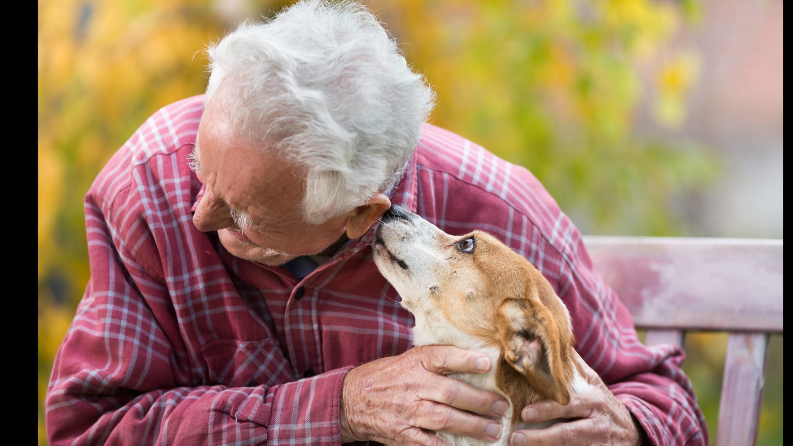 Pet Visits Help Hospice Patients